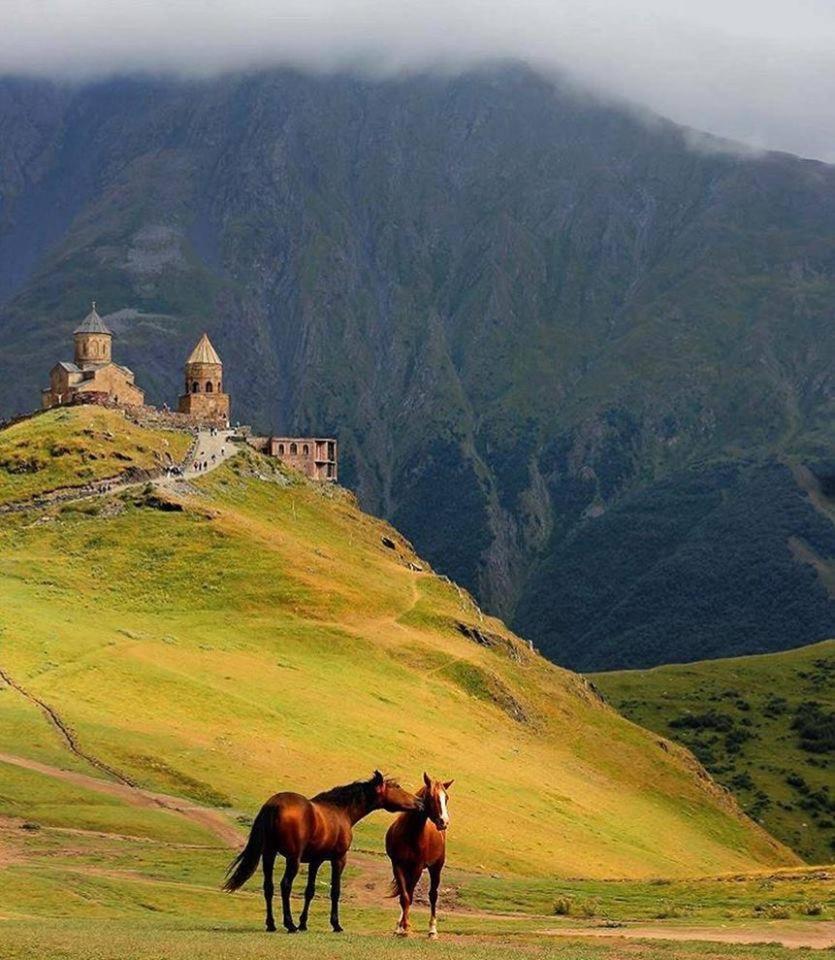 Ineza'S Guest House Kazbegi Ngoại thất bức ảnh