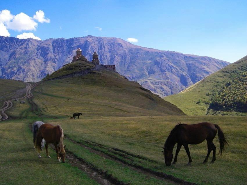 Ineza'S Guest House Kazbegi Ngoại thất bức ảnh